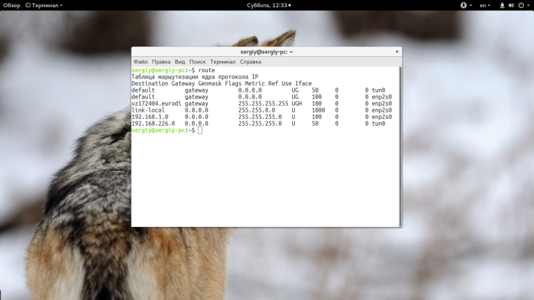 Маршрутизация в Linux