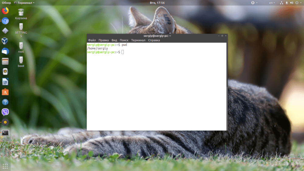 команда pwd