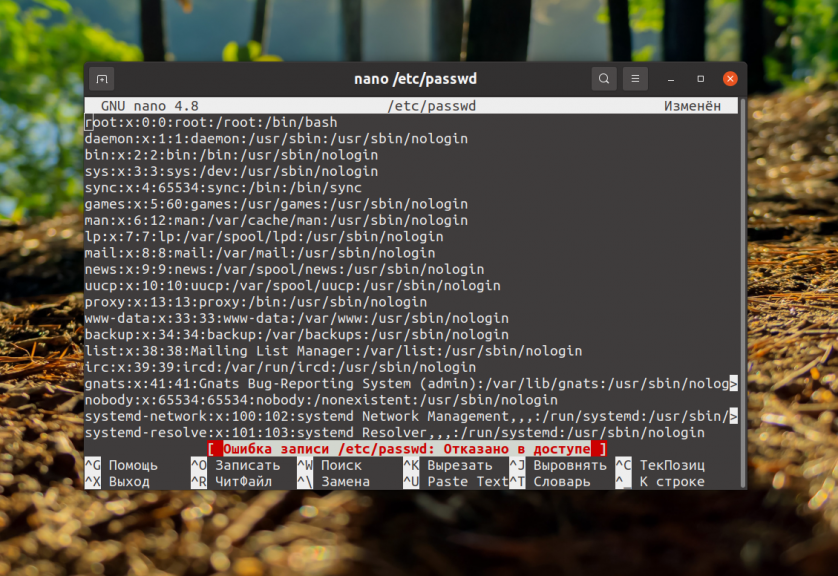 Сохранение в nano Linux
