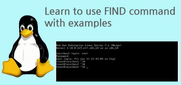 The find command in Linux