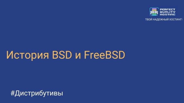 История BSD и FreeBSD: путь от Berkeley Unix до популярной серверной платформы