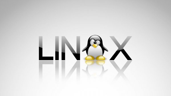 Использование MTR для диагностики сети Linux