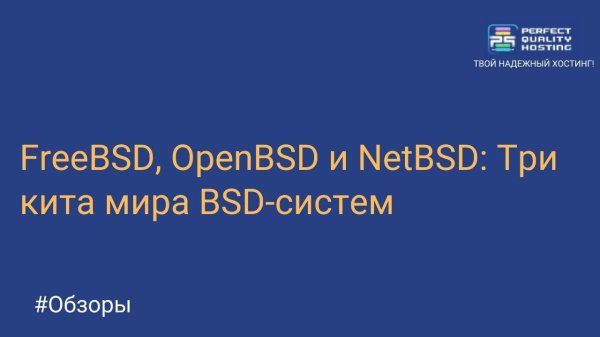 FreeBSD, OpenBSD и NetBSD: три кита мира BSD-систем