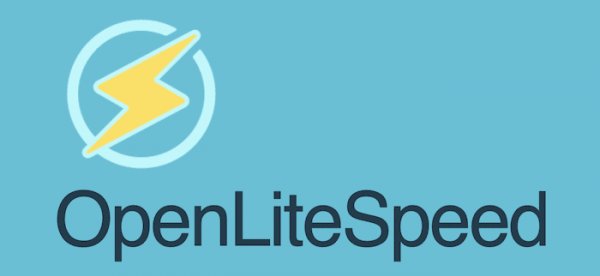 Как установить OpenLiteSpeed на Ubuntu 20.04