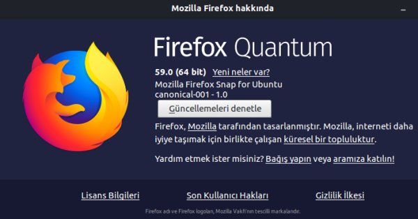Как установить Firefox Snap в Ubuntu