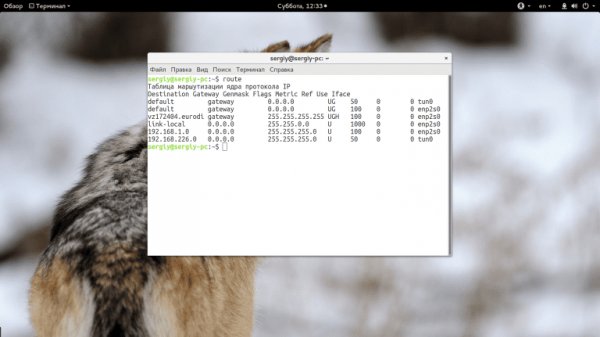 Как настроить маршрутизацию в Linux