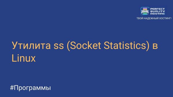 Утилита ss (Socket Statistics) в Linux