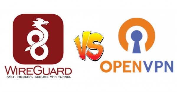 OpenVPN or WireGuard VPN