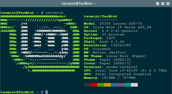 Программа Neofetch: информация о системе Linux