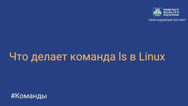 Что делает команда ls в Linux