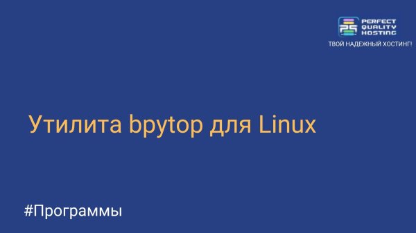 Утилита bpytop для Linux