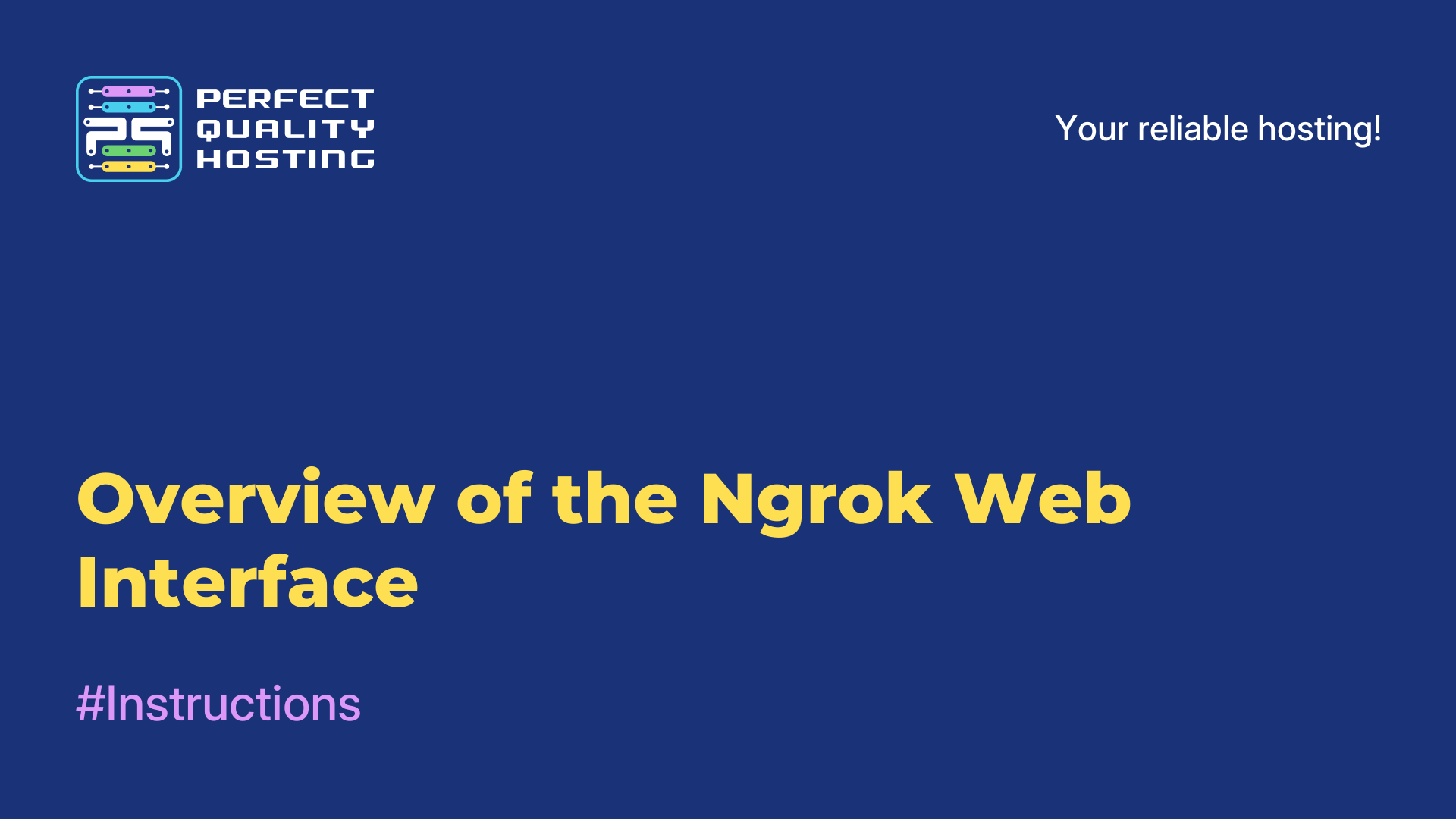 Overview of the Ngrok Web Interface